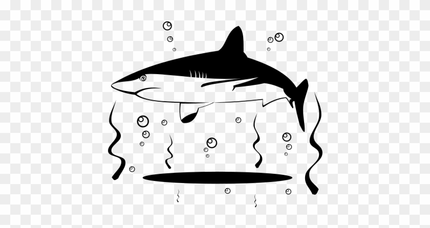 Vector Graphics #184743