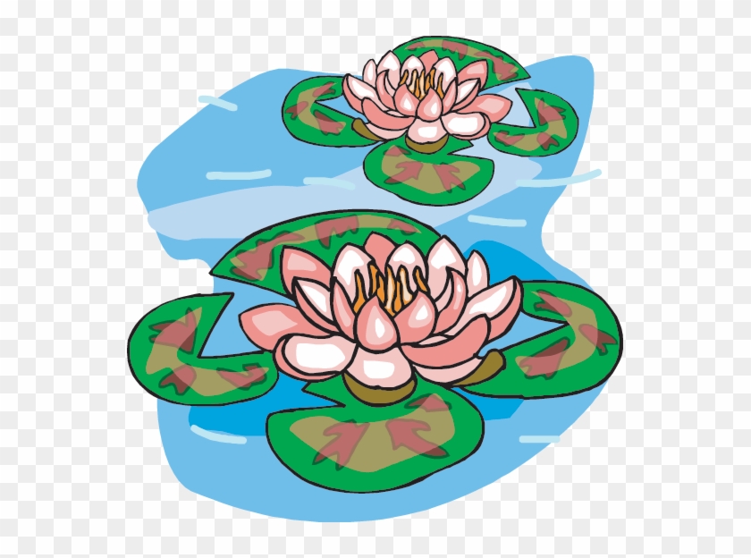 Lilies - Pond Clip Art #184787