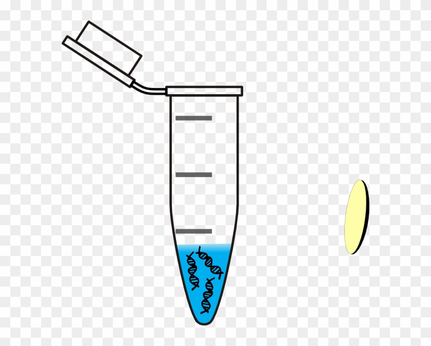 Eppendorf Tube With Dna #184856