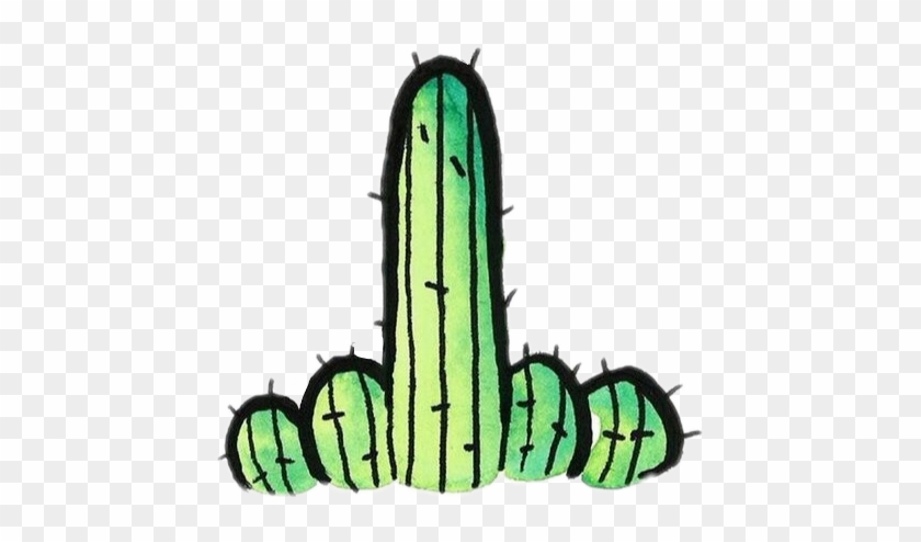 Cacti Cactus Tumblr Green Black Colour Fucktus Cactusfl - Cactus Tumblr Png #184922