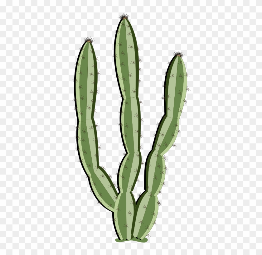 Cactus Clipart Saguaro - Cactus Curtains #184935