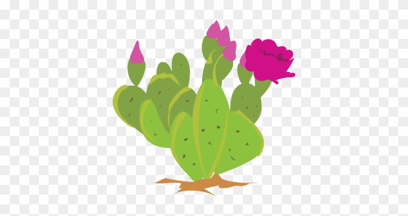 Its Cactus Week On Inaturalist Feb - Nopales Clipart #184940