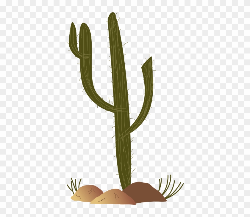 Mlp Fim Cactus By Thecoltalition On Clipart Library - Thorns, Spines, And Prickles #184955