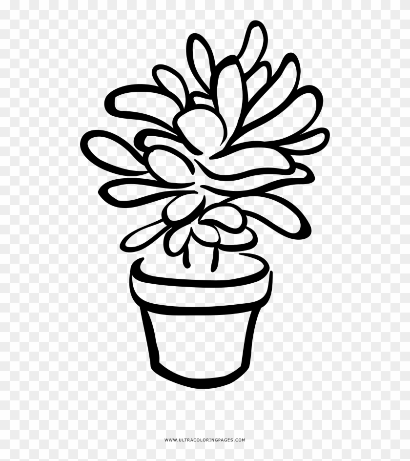 Succulent Coloring Page - Succulent Clip Art Black And White #184993