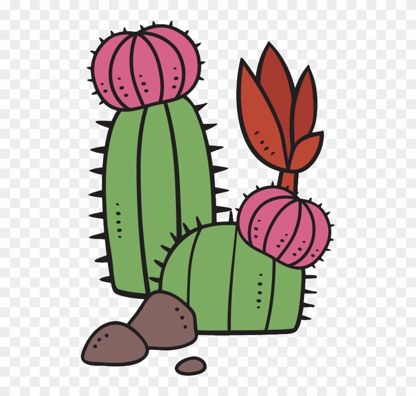 Succulent Plant Cartoon Cactaceae - Succulent Plant Cartoon Cactaceae #185032