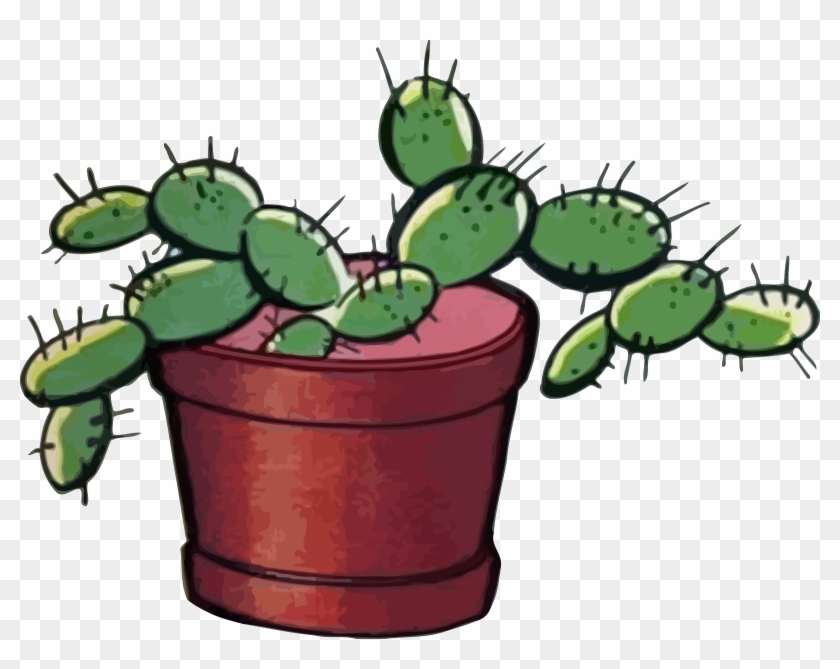 Cactus 3 - San Pedro Cactus #185019