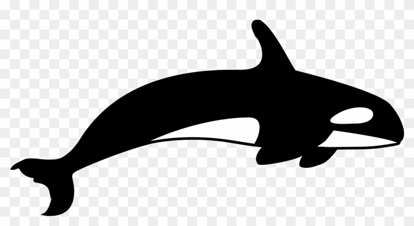 Big Image - Killer Whale Silhouette Png #185031
