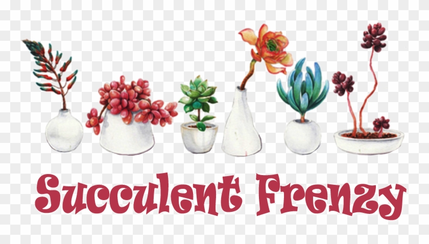 Welcome To Succulent Frenzy Online Store Welcome To - Fresh And Colorful Hand-painted Potted Plants Succulents #185046