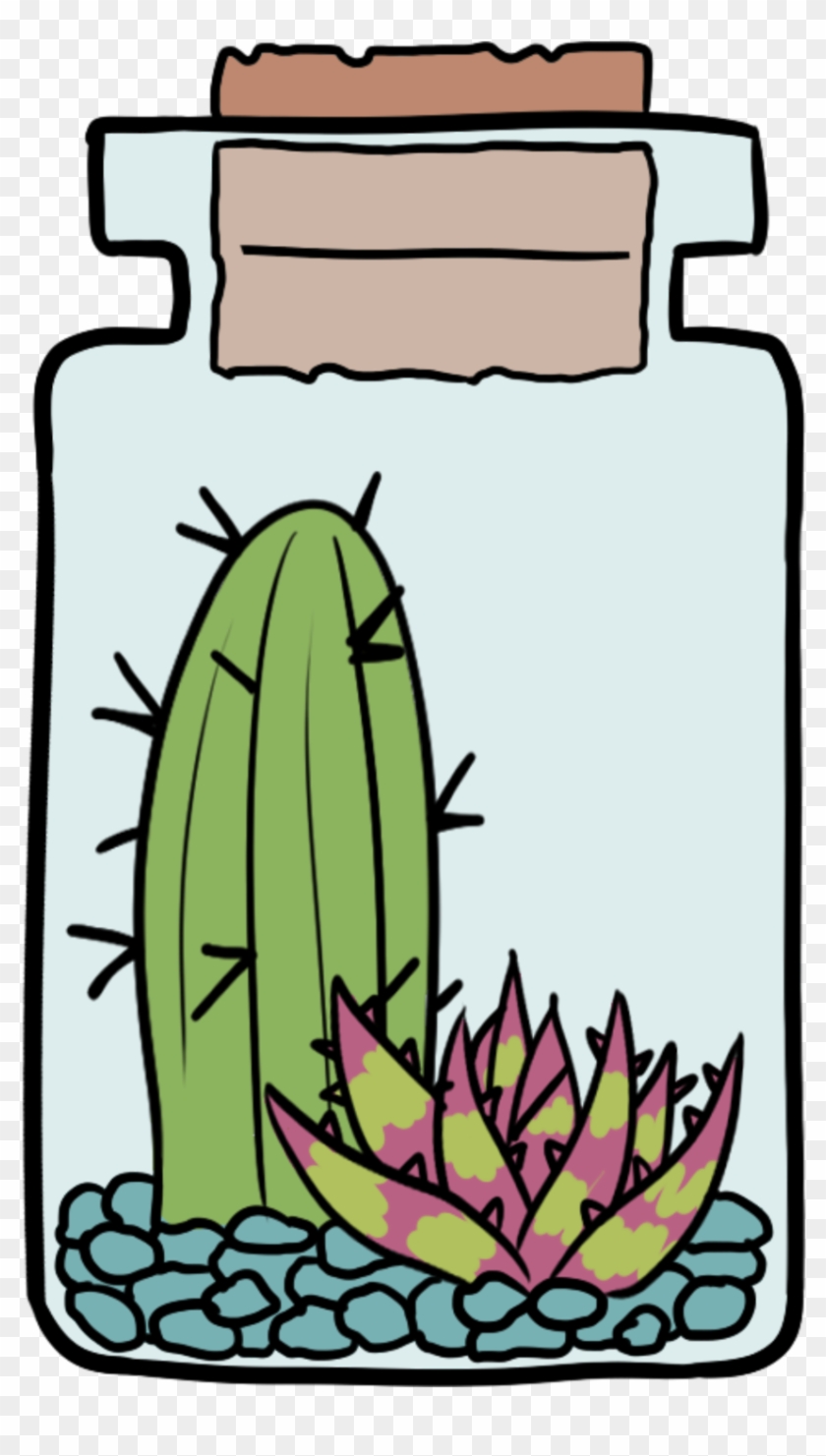 A Jar Of Succulents 🌵✨ - Transparent Tumblr Blog Png #185047