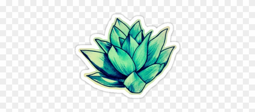Succulent Sticker On Redbubble - Stickers Tumblr Art #185049