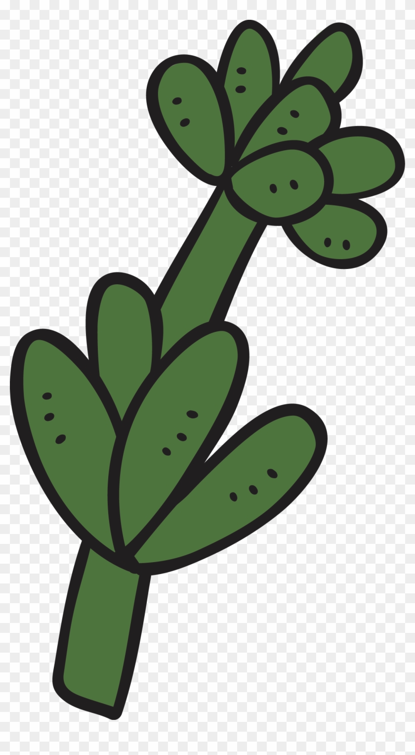 Cartoon Succulent Plant Cactaceae - Cartoon Succulent Plant Cactaceae #185084