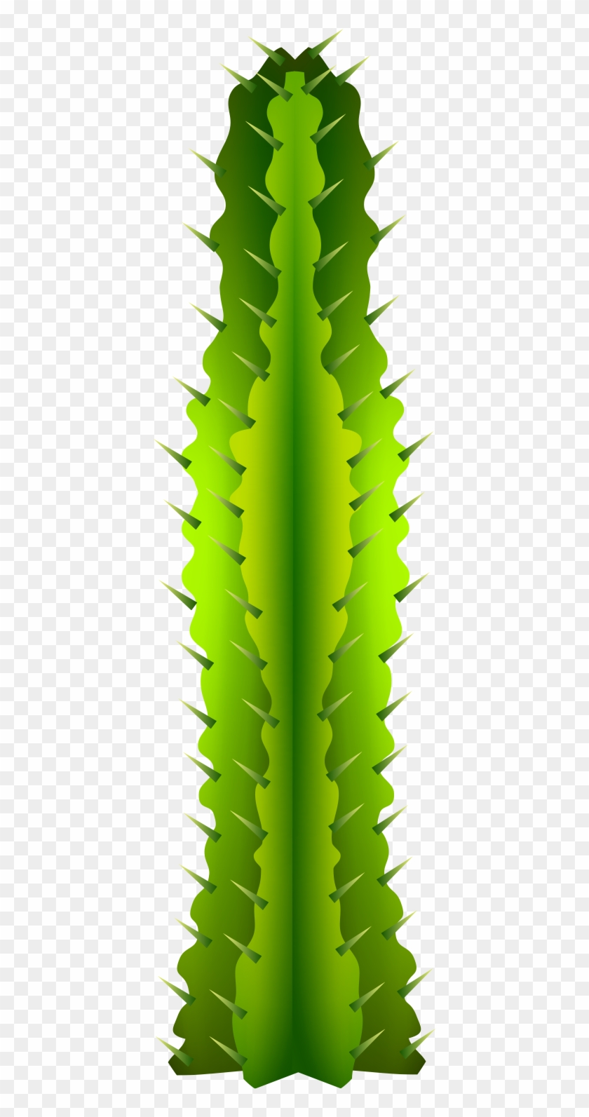 Cactaceae Clip Art - Cactus #185130