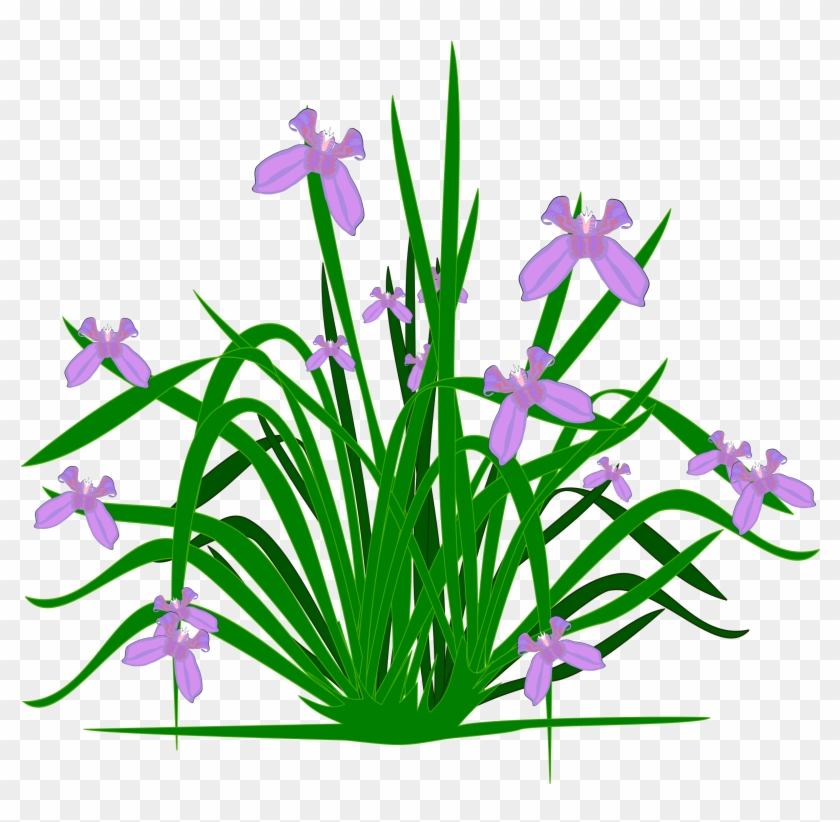 Big Image - Plants And Flowers Clipart #185244