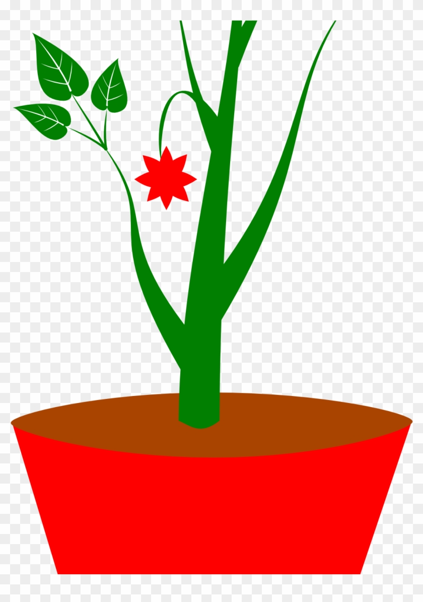 Potted Plant Clipart Flower Pot Clipart Black And White - Sometimes I Wet My Plants Sticker #185271