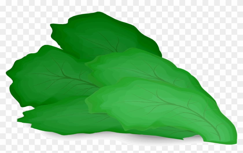 Big Image - Lettuce Clipart #185348