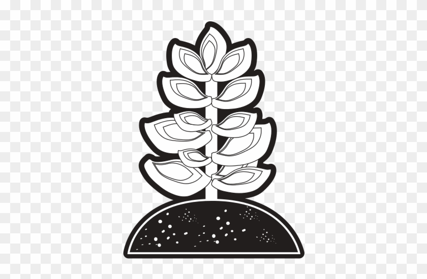 Succulent In Soil Vector Illustration - Soil #185408