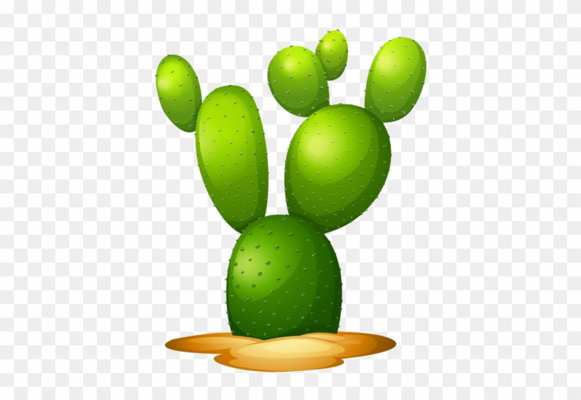 1 - Opuntia Dibujo #185418