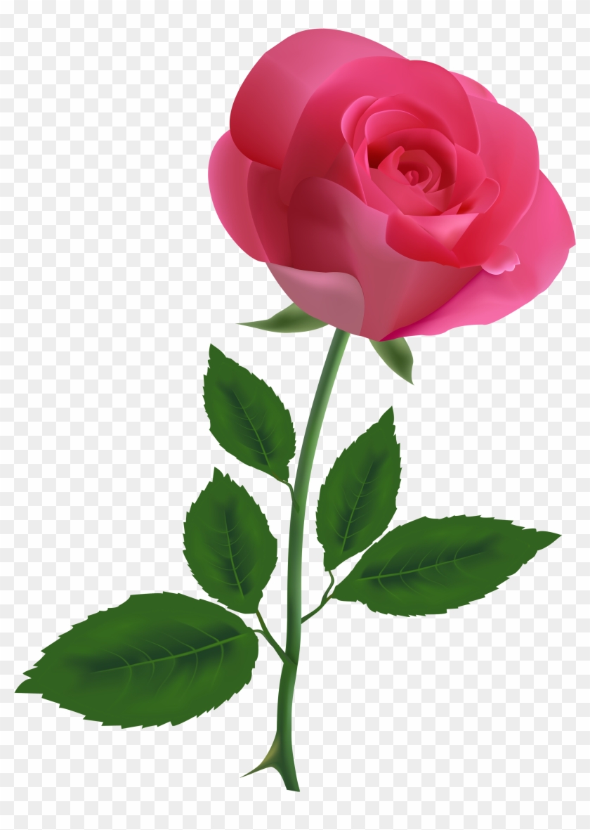 Pink Rose Clipart Png Image - Rose Clipart #185425