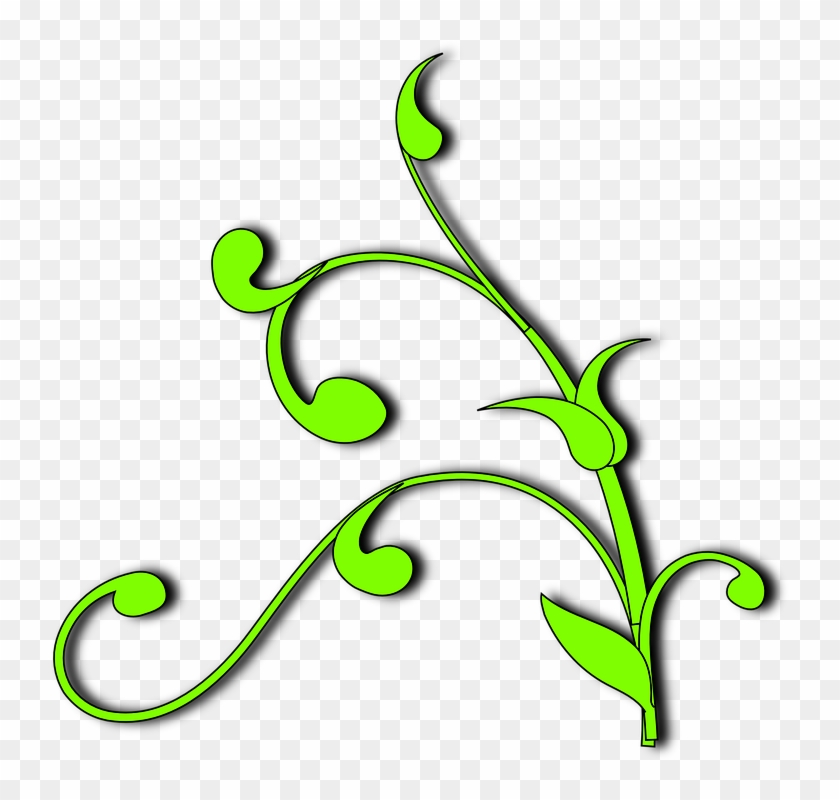 Vine Plant Clipart #185435