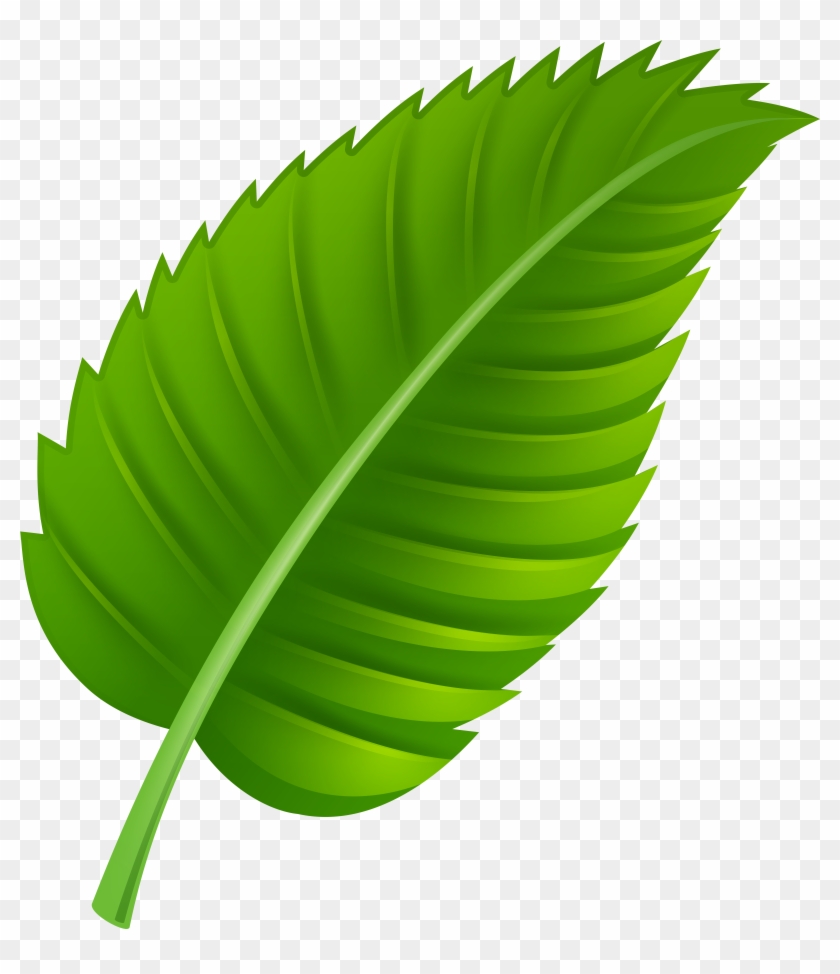 Green Leaf Png Clip Art - Leaf Clipart Png #185892