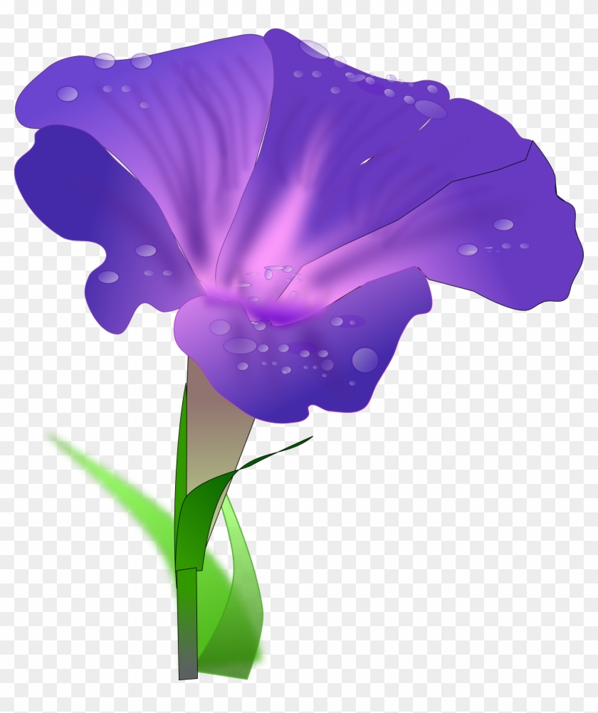 Absent Clipart Graphic - Blue Purple Mix Ipomoea Morning Glory Seeds #186010