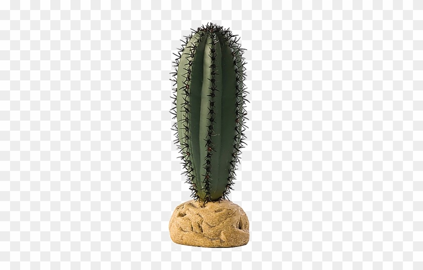 Saguaro Cactus Png High-quality Image - Security Camera Flower Pot #1064016