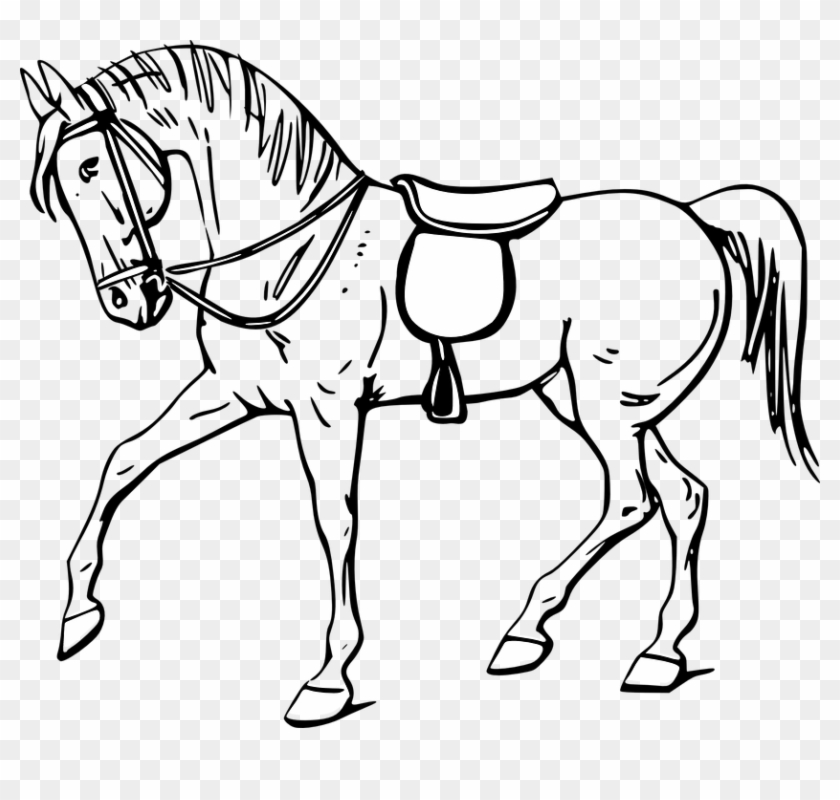 Outline Of A Horse #1064301