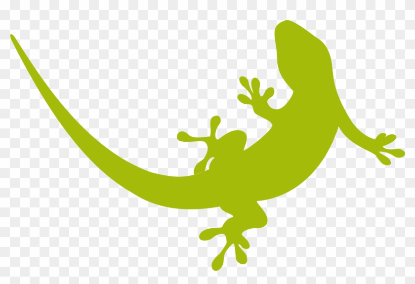 Geckos Png Transparent Image - Transparent Background Reptile Clipart #1064671