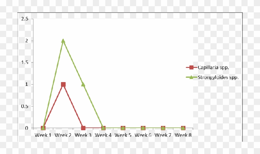 Download - Triangle #1064837