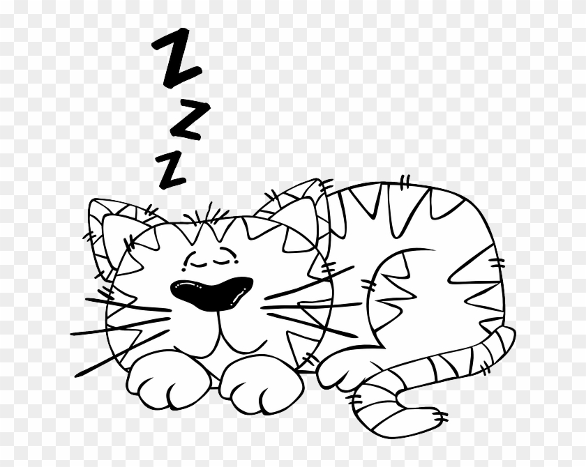 Outline Animals, Baby, Cat, Monkey, Mouse, Black, Outline - Sleep Cartoon Black And White #1065347