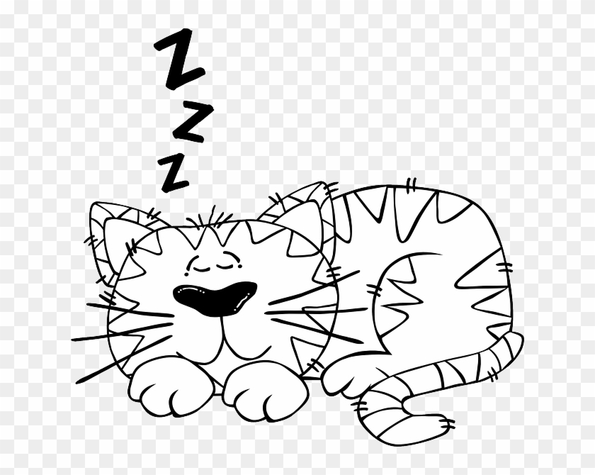 Outline Animals Baby Cat Monkey Mouse Black Outline Sleep Cartoon Black And White Free Transparent Png Clipart Images Download