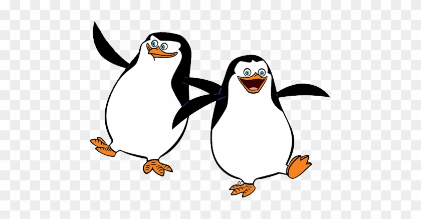 Penguins - Животные Из Мультиков Мадагаскар #1065523