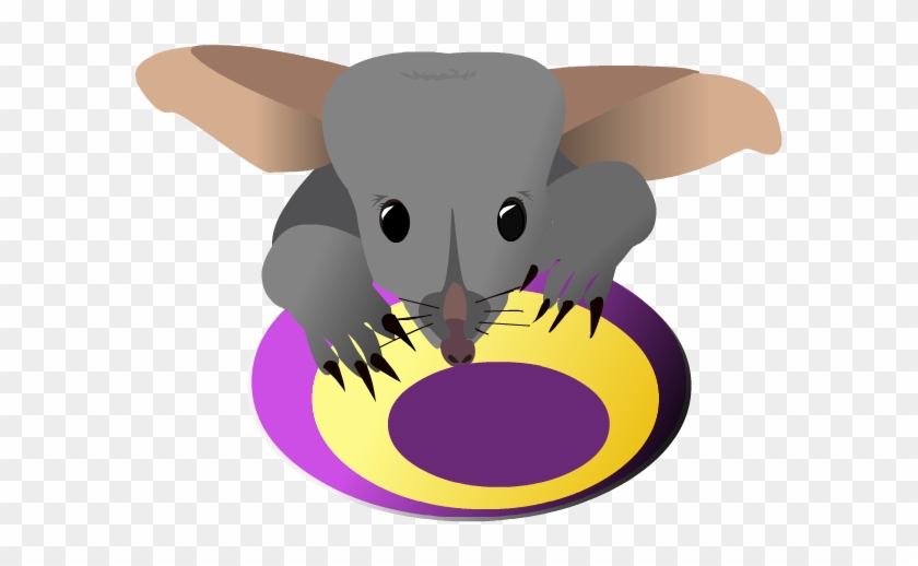 Swap The Bunny For The Bilby This Easter - Rabbit #1065862