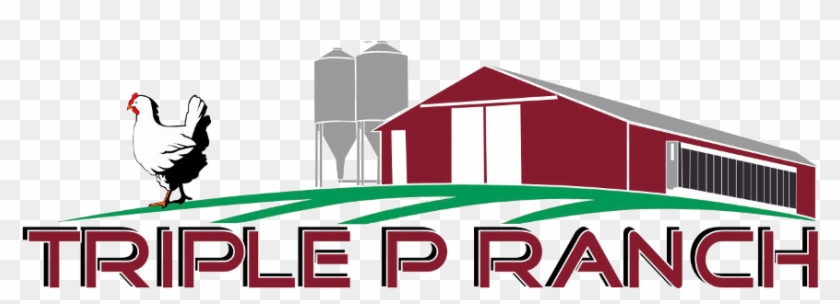 Triple P Logo - Triple P Logo #1066110