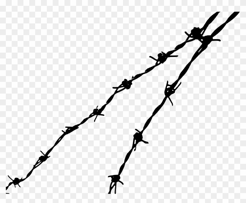 Barbed Wire Clip Art - Basic Human Rights: A New Narrative #1066170