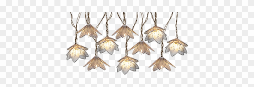 Hanging Lights Roblox Earrings Free Transparent Png Clipart Images Download - roblox song id hanging tree