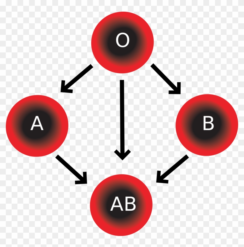 Wikipedia, The Free Encyclopedia - Abo Blood Group System #1066287