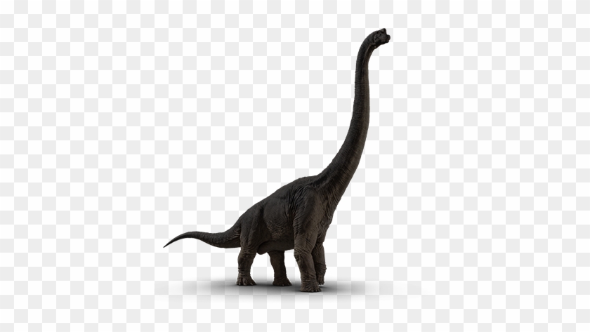 Tyrannosaurus Rex - Jurassic Park #1066341