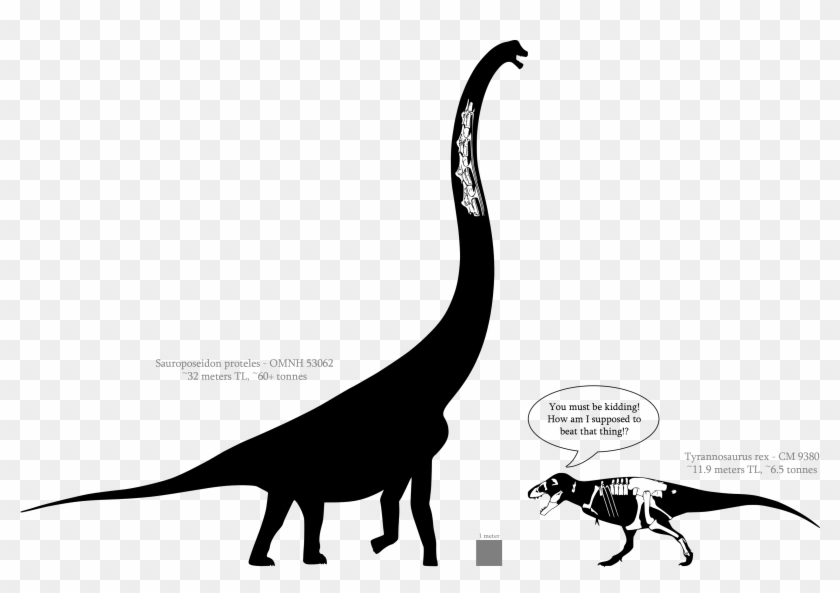 Sauroposeidon - Dinosaur #1066350