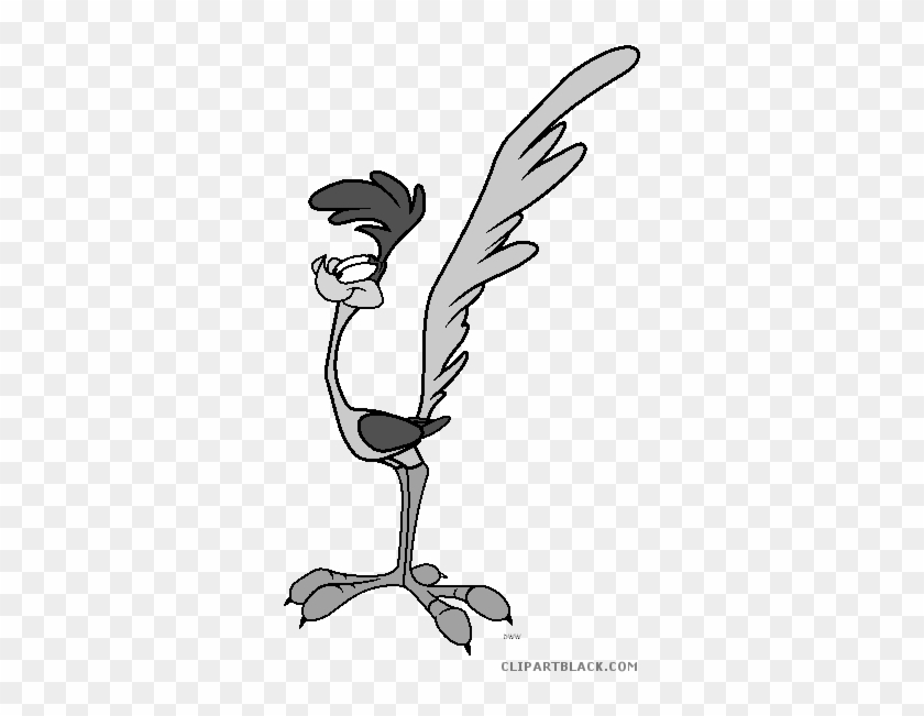 Roadrunner Animal Free Black White Clipart Images Clipartblack - Roadrunner Cartoon #1066544