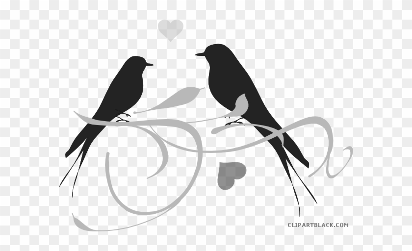Love Birds Animal Free Black White Clipart Images Clipartblack - Clip Art Love Birds #1066545
