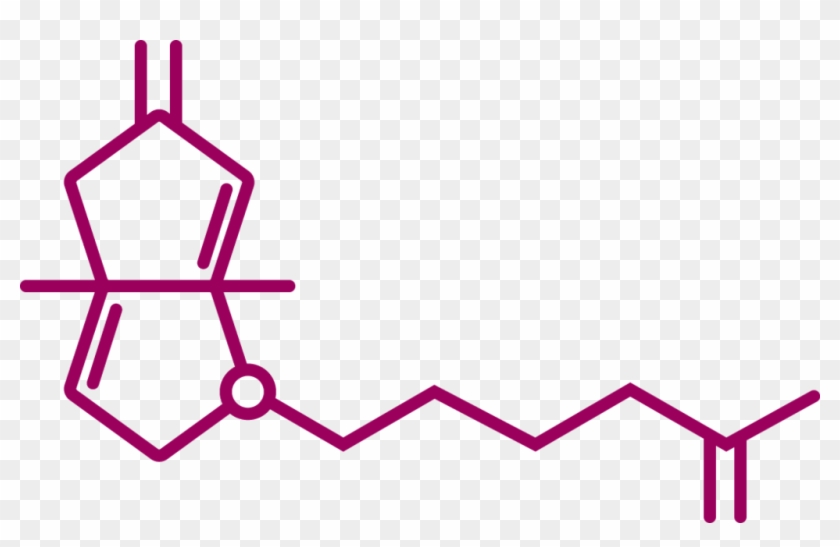 Terephthalic Acid #1066627