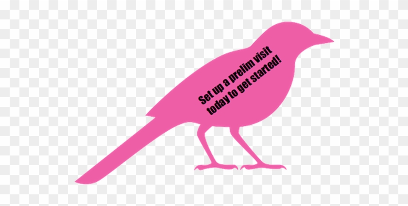 Squawk And Howl #1066816