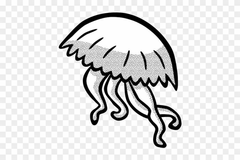 11 Free Jellyfish Clipart Public Domain Vectors Rh - Gambar Ubur Ubur Vektor #1067091