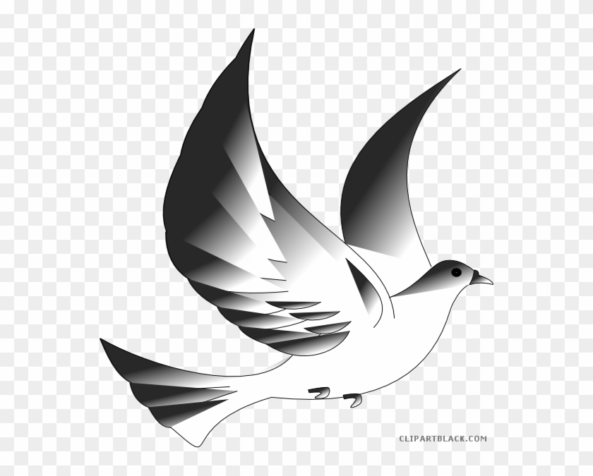 Dove Animal Free Black White Clipart Images Clipartblack - Free Catholic Clip Art Confirmation #1067346