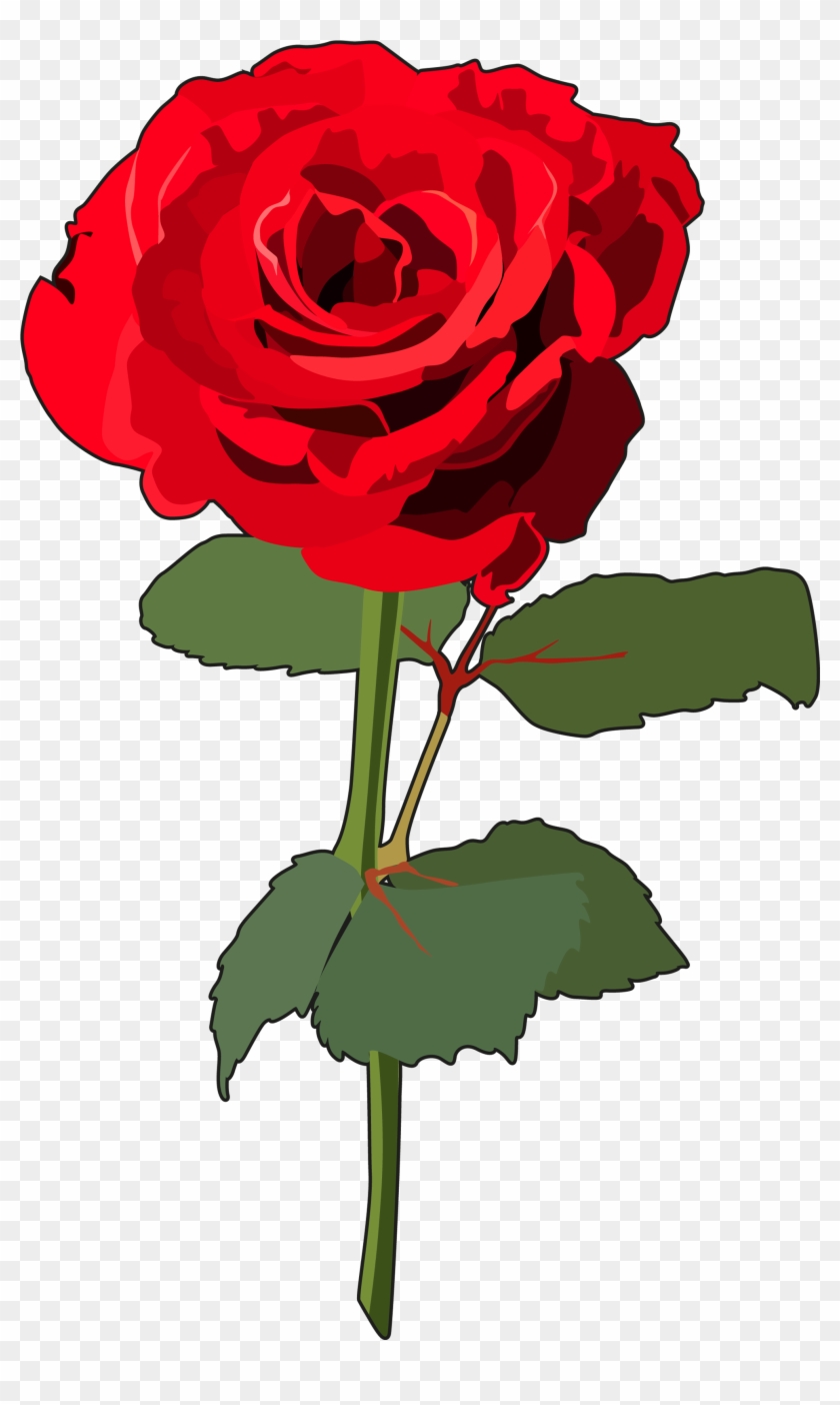 Flores » Recursos Educativos Digitales - Ilustracion De Rosas Png #1067428