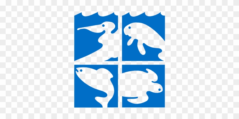 Sea Turtle Clipart Track - Florida Oceanographic Society Logo #1067807