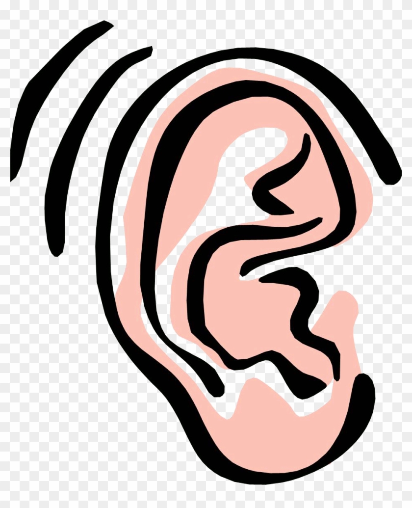 Ear Clip Art 14 Clipart Of - Ears Clipart #1068031
