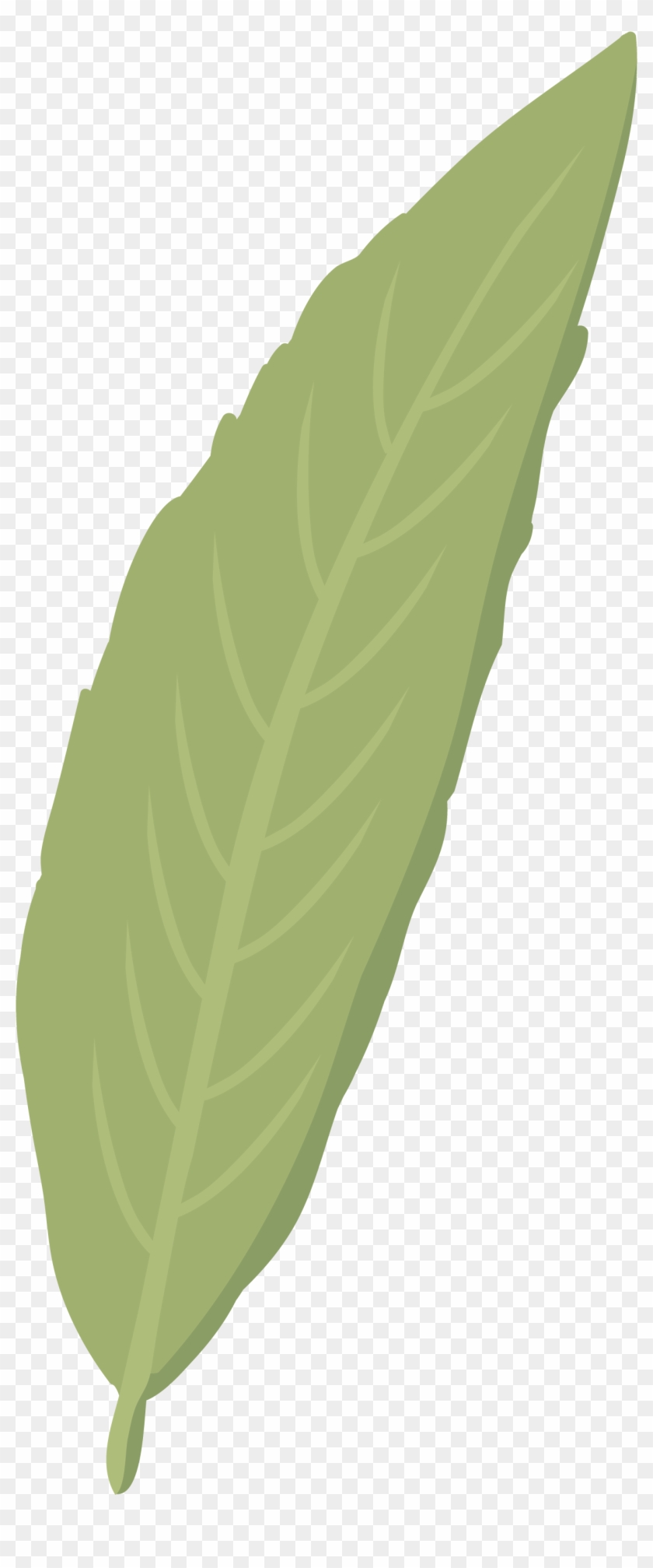 Sauce - Sauce Hoja #1068065