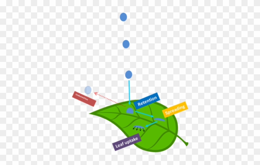 Retención Y Aspersión De La Gota Al Igual Que Absorción - Diagram #1068085